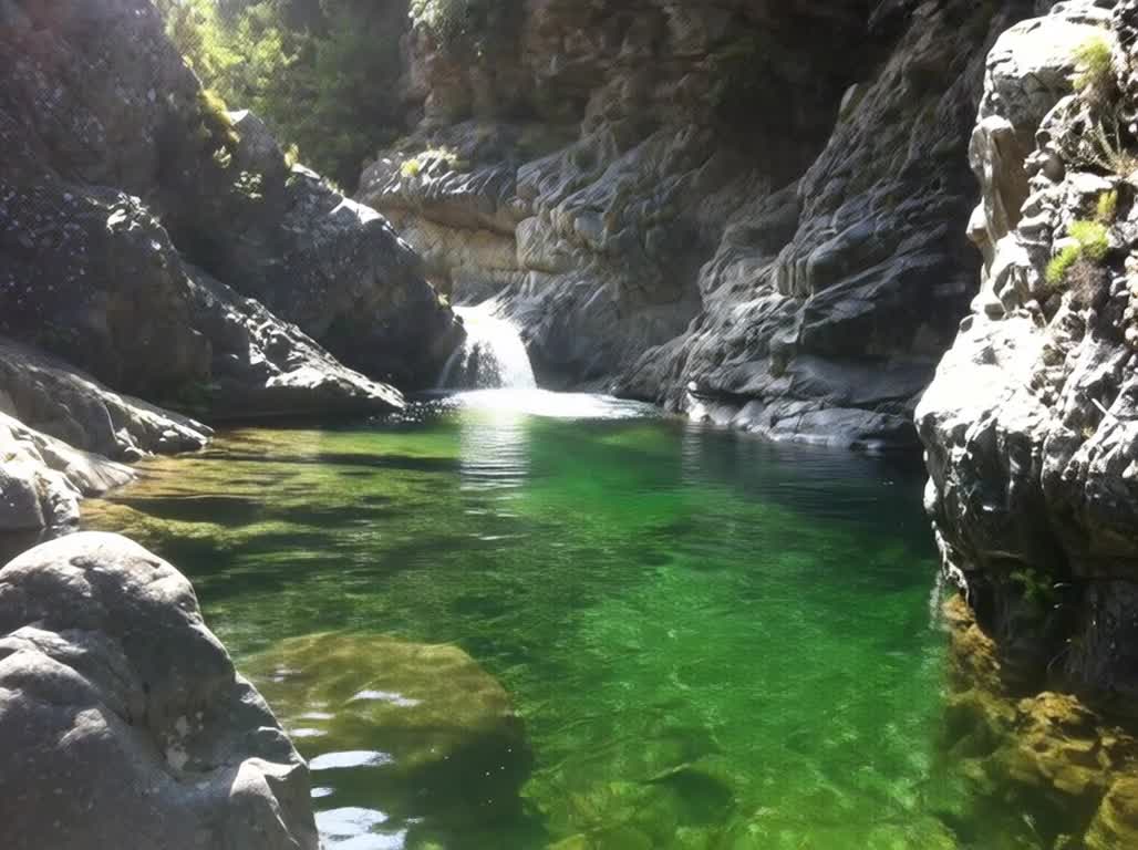 Torrents et cascades du centre de la Corse entre les pins laricio
