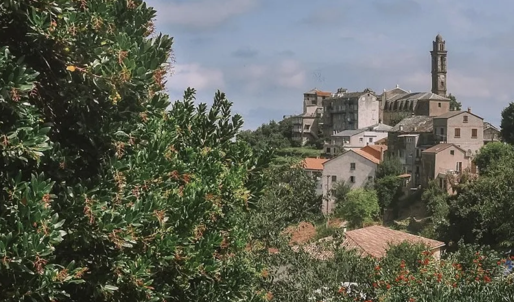 Passoni Frères, Venzolasca