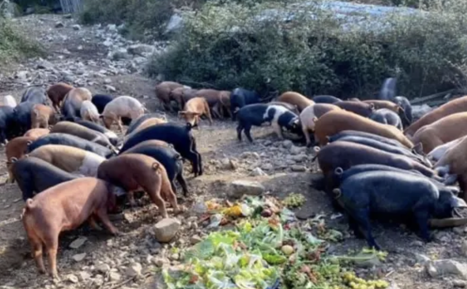 Charcuterie artisanale corse A Casana Ceccaldi
