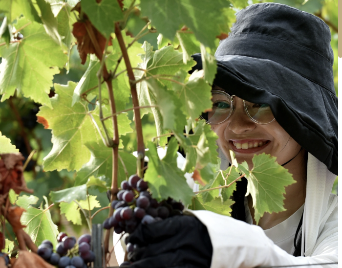 Domaine Petra Bianca — Figari, partenaire BestInCorsica