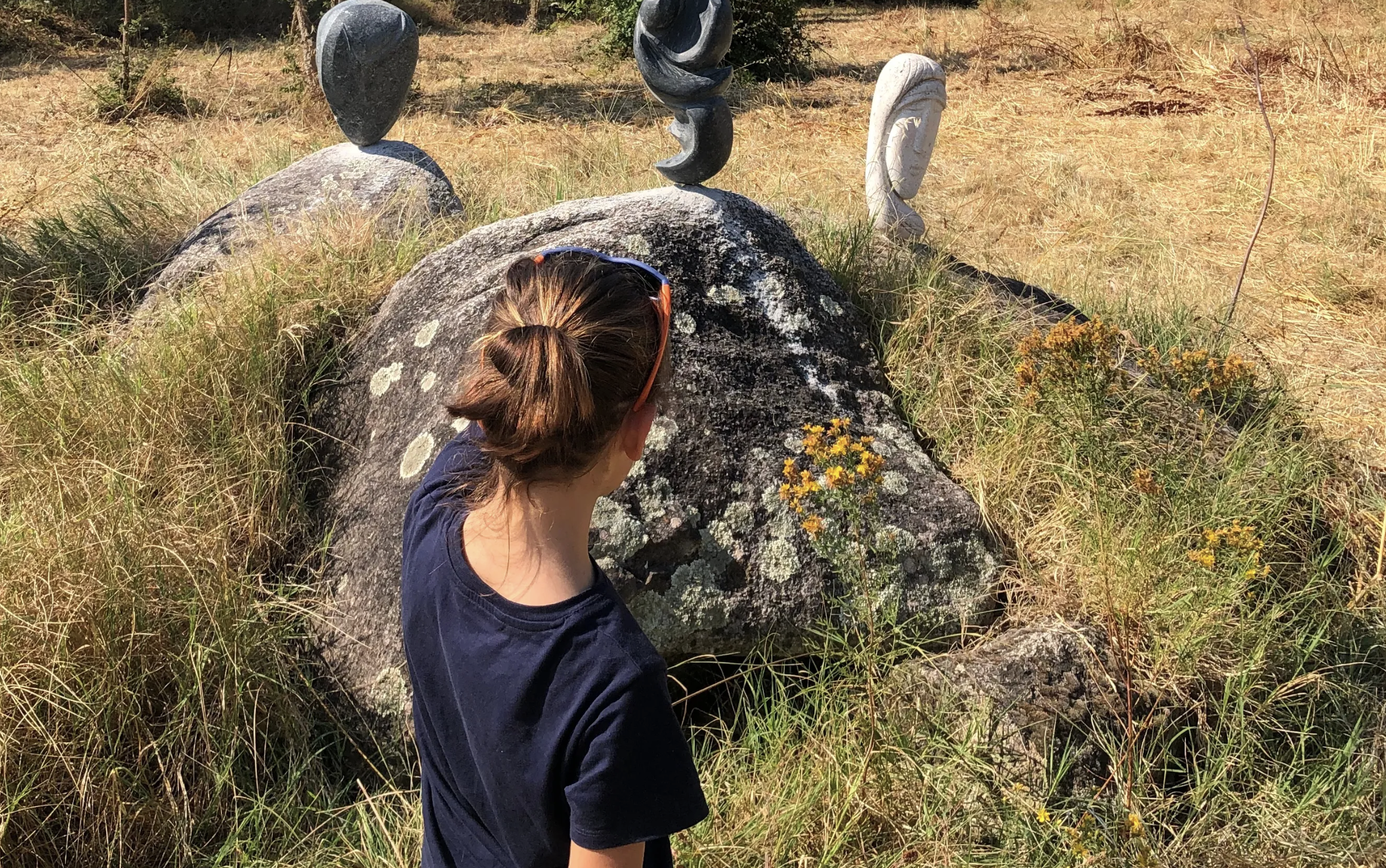 🌿 L’Alma Salvatica – Le conservatoire amoureux des plantes du maquis ! 🌱