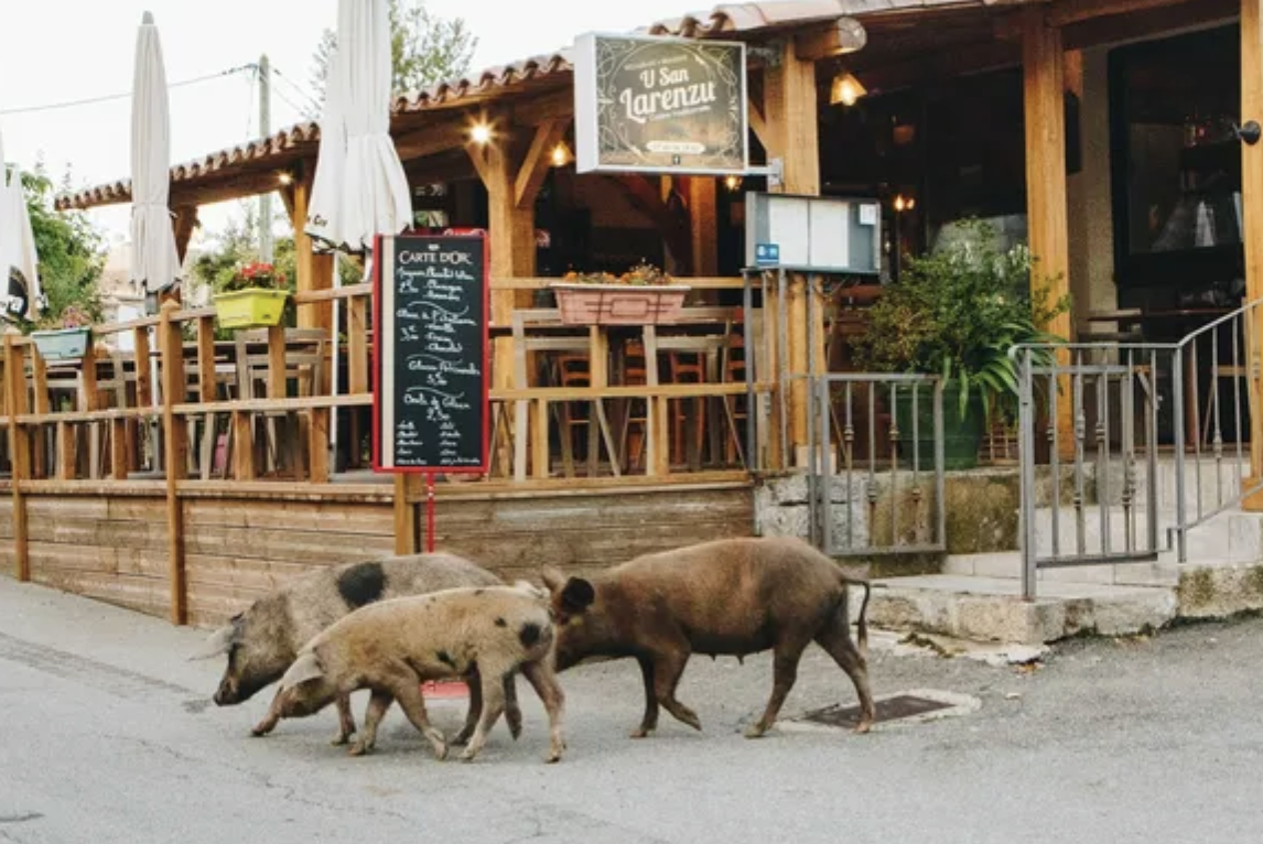 Auberge U San Larenzu, Aullène